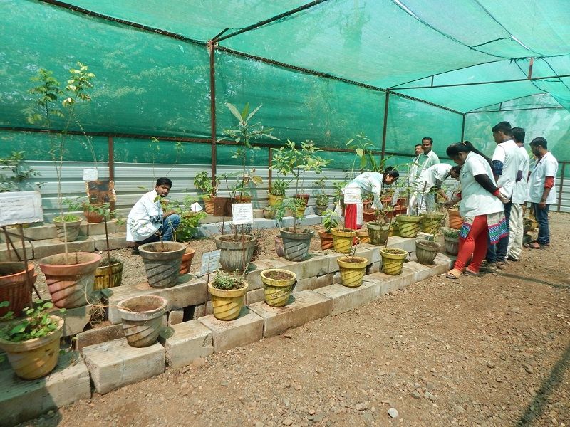 Shri Siddhivinayaka Rural Ayurvedic Medical College Others(1)