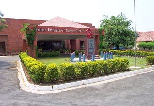 Indian Institute of Carpet Technology Others
