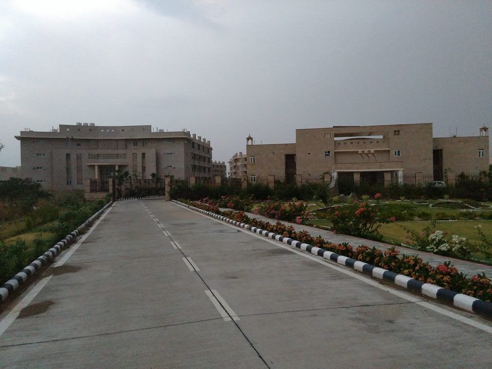 Central University of Rajasthan Others(9)