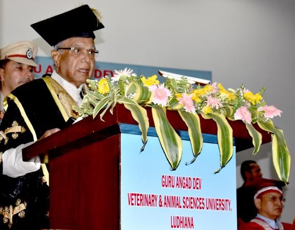 GADVASU Convocation