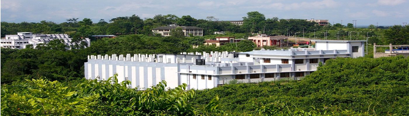 Assam University Campus View