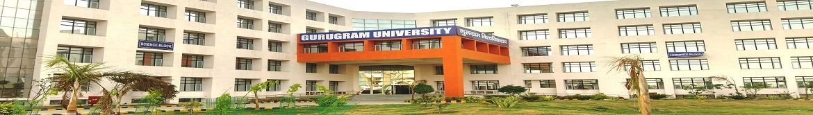 Gurugram University Others