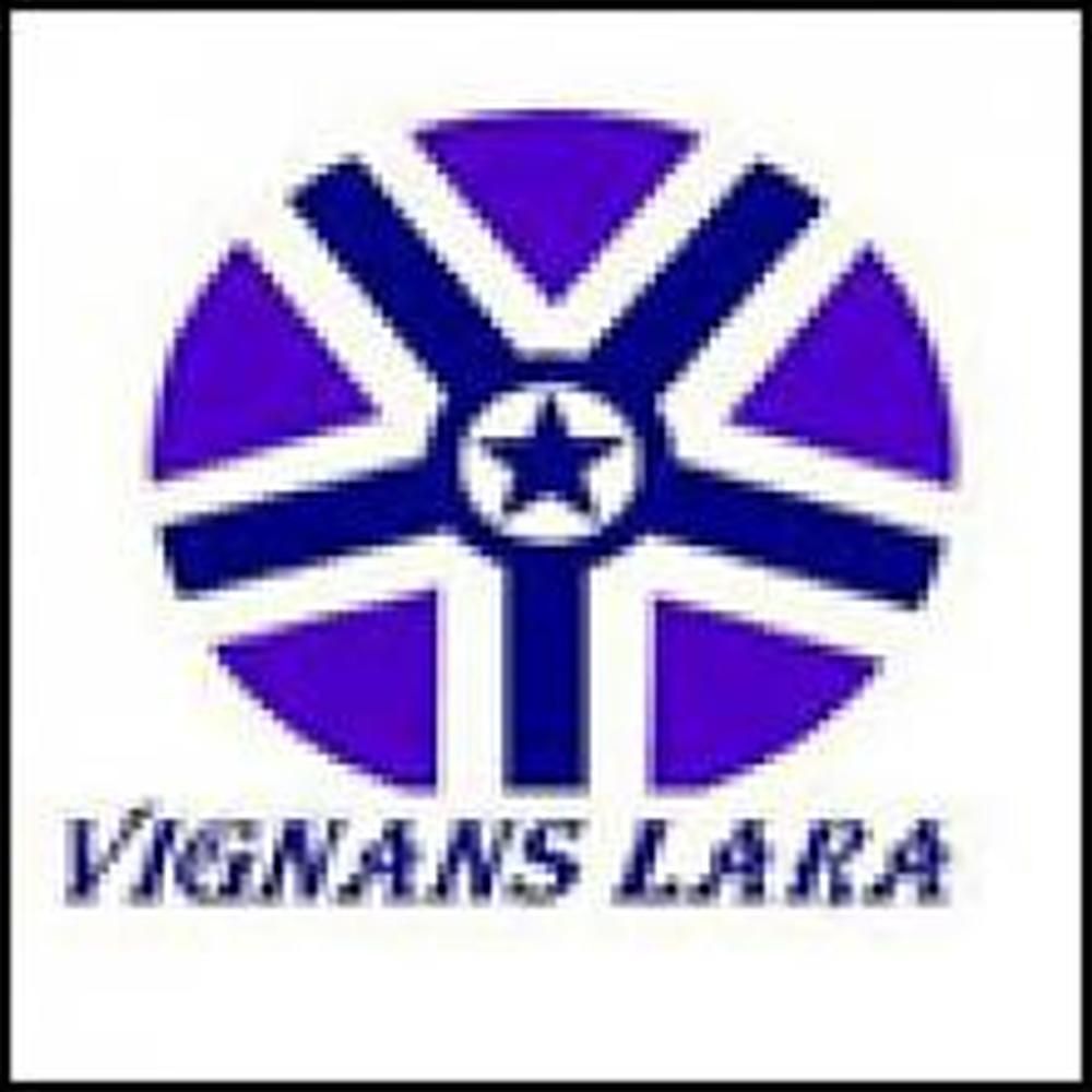 Vignan's LARA Institute of Technology & Science