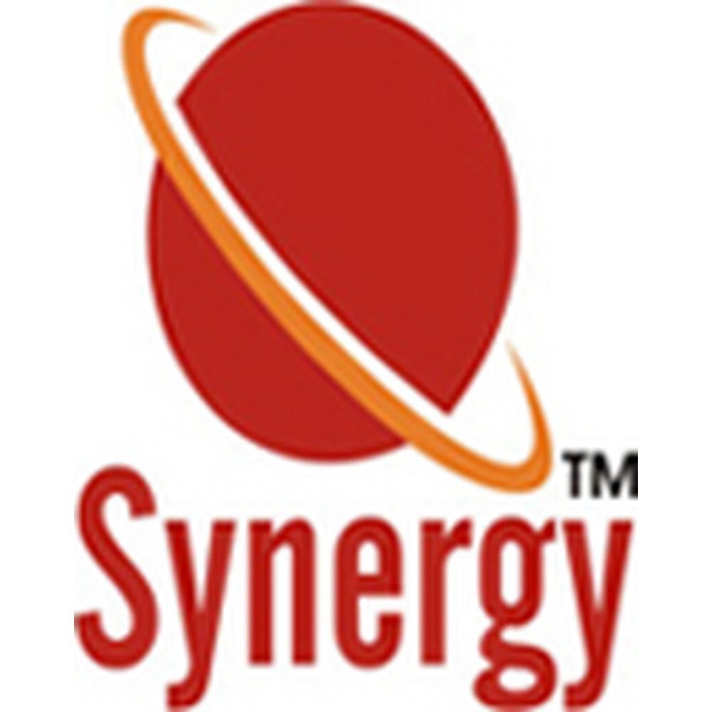 Synergy School of Commerce