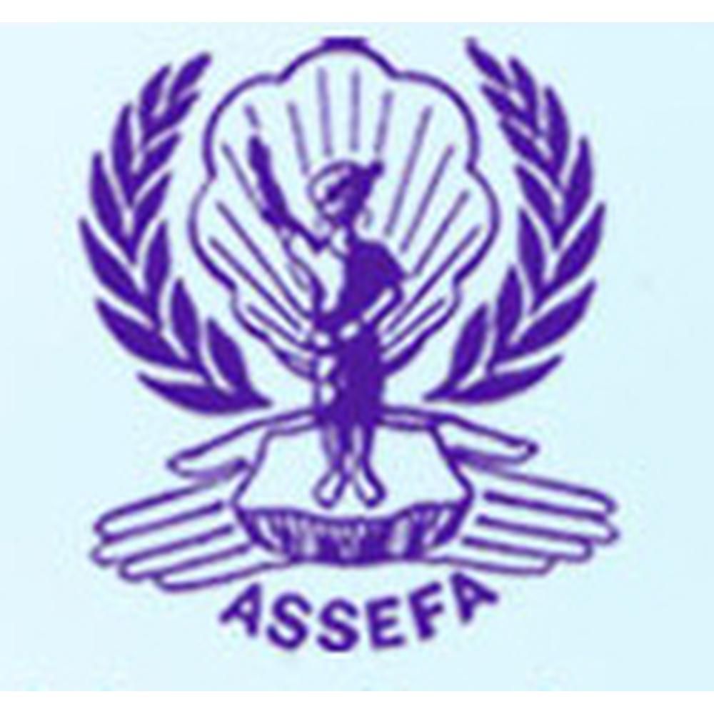 Assefa College of Education