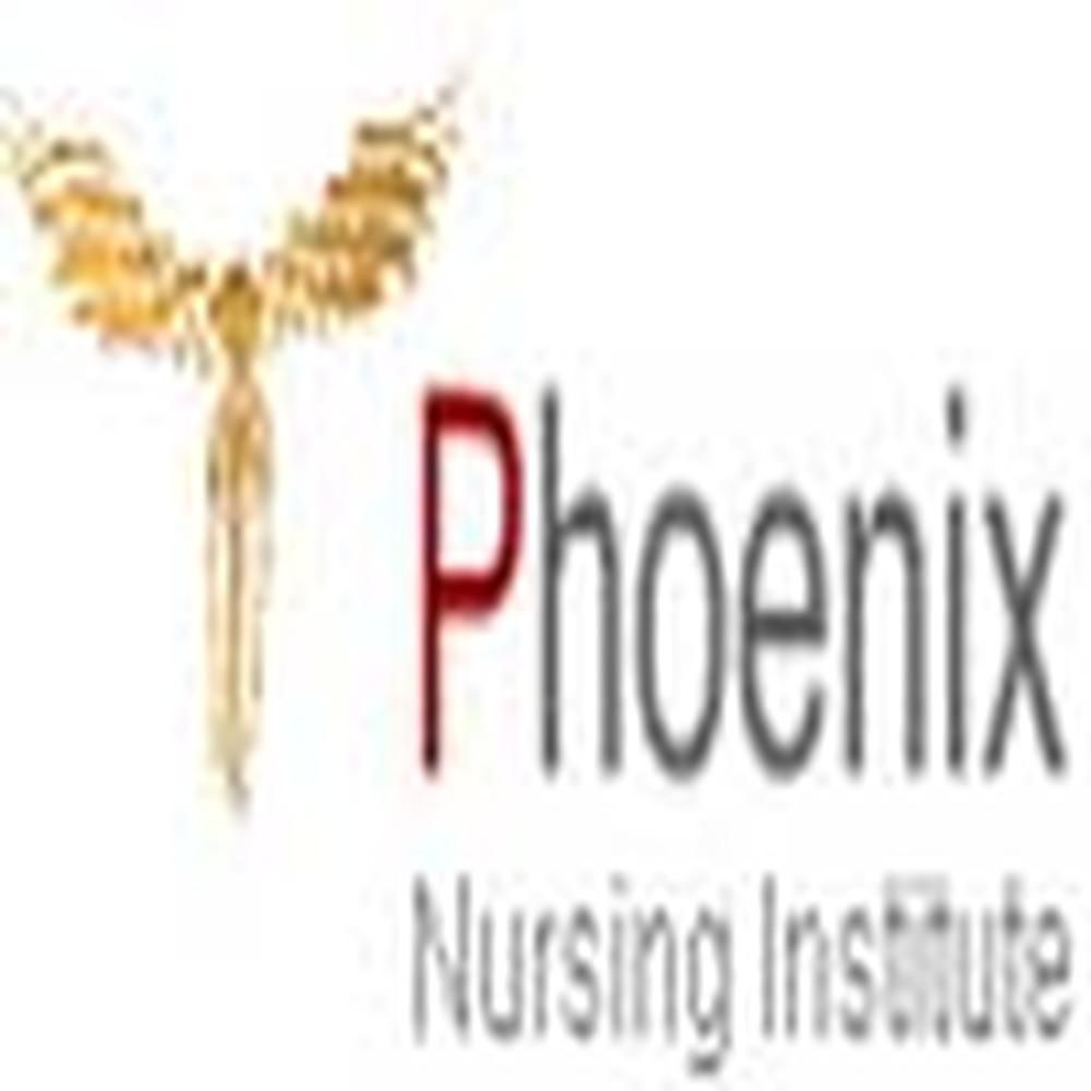 Phoenix Nursing Institute