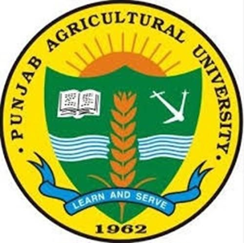 Punjab Agriculture University