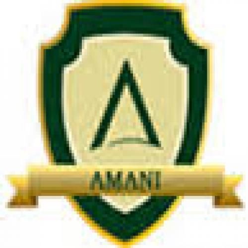 AMANI GROUP OF INSTITUTIONS