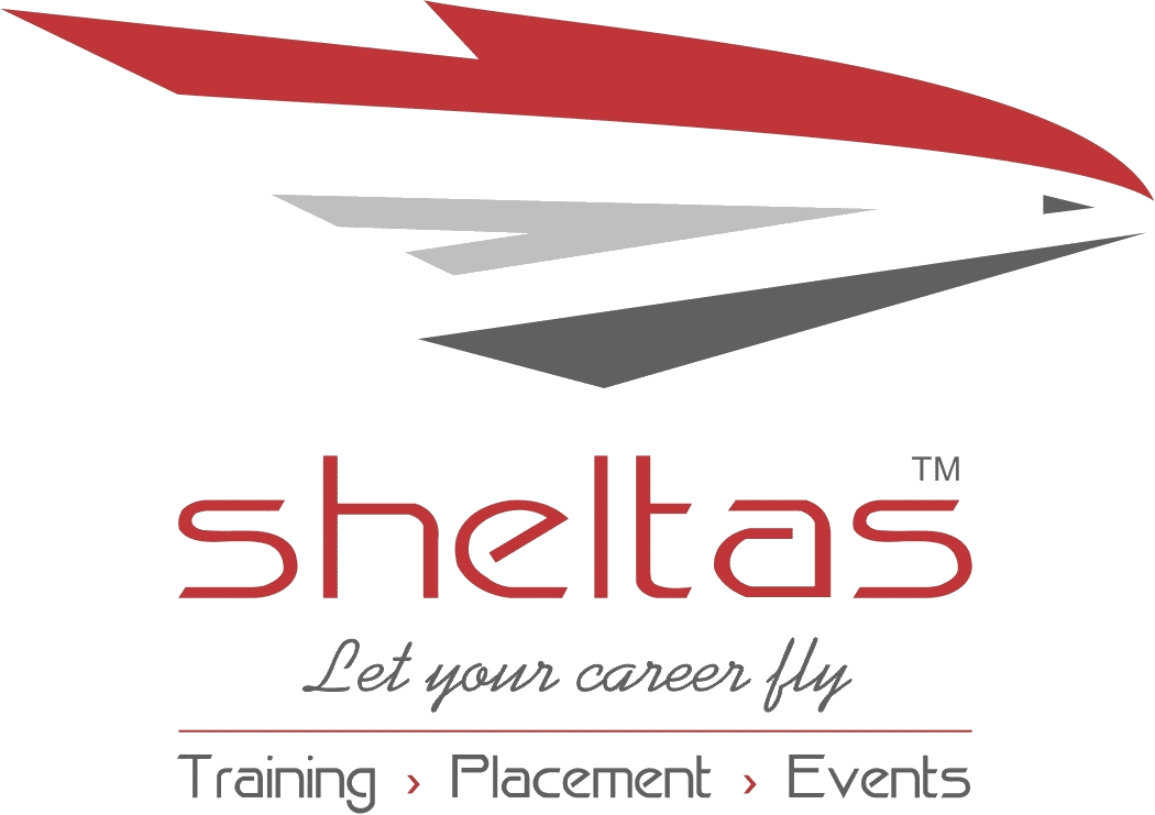 Sheltas Aviation Management Institute